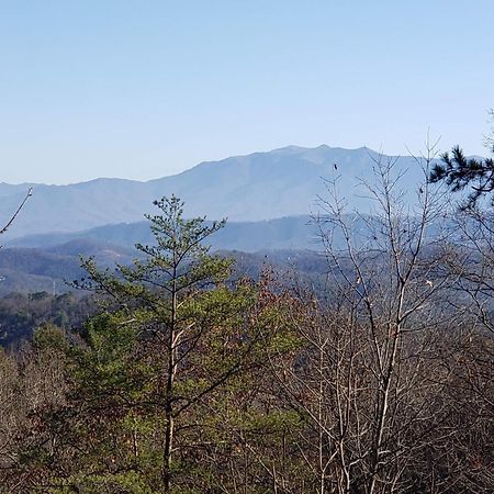 Lazy Bear Cabin Sevierville Exterior photo